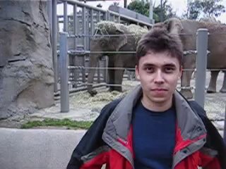 Man and Elephant at Zoo (Retro Camera Style)