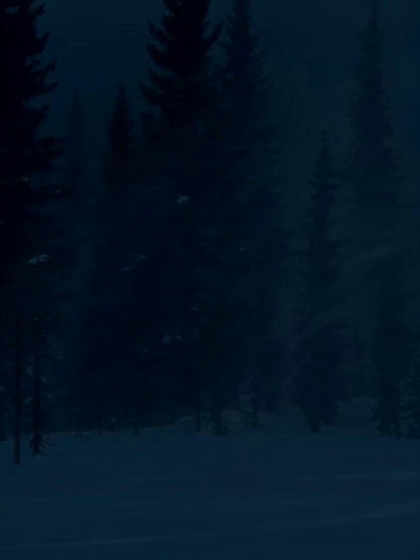 Dark Fantasy Stormy Forest Trek
