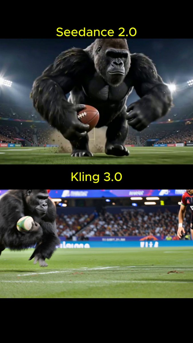 Rugby Match: Humans vs. Gorillas