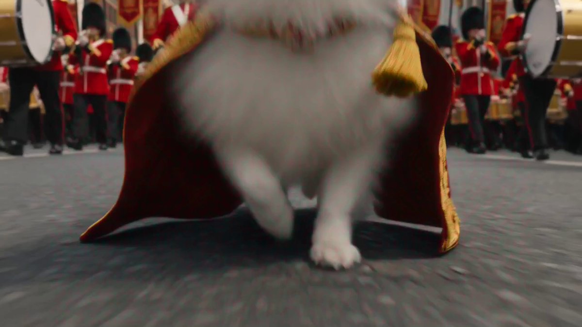 Tiny Fluffy Dog Leads Massive Parade