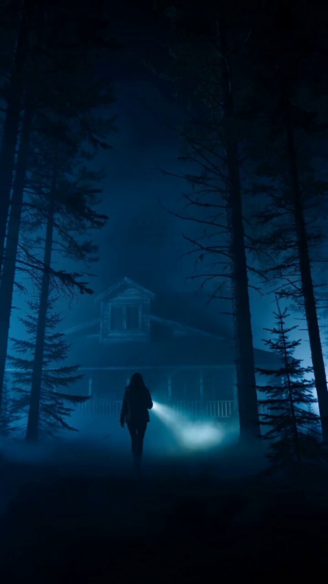 Cinematic Horror Thriller: Approaching Cabin in Dark Forest