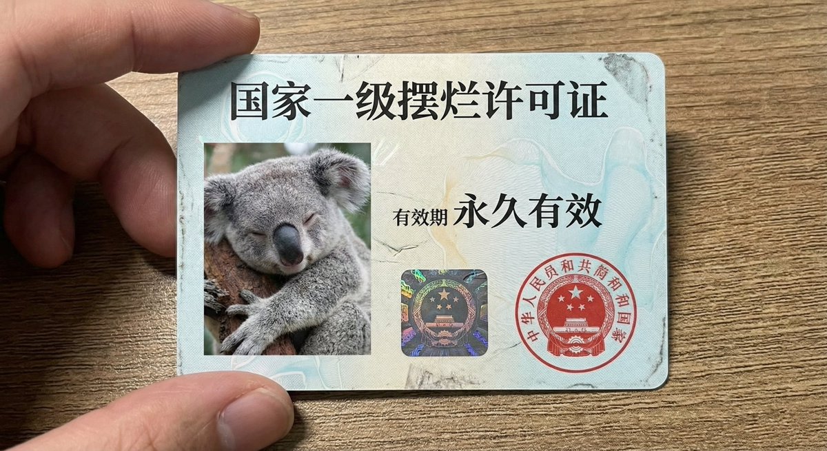 National Level Slacking License with Sleeping Koala