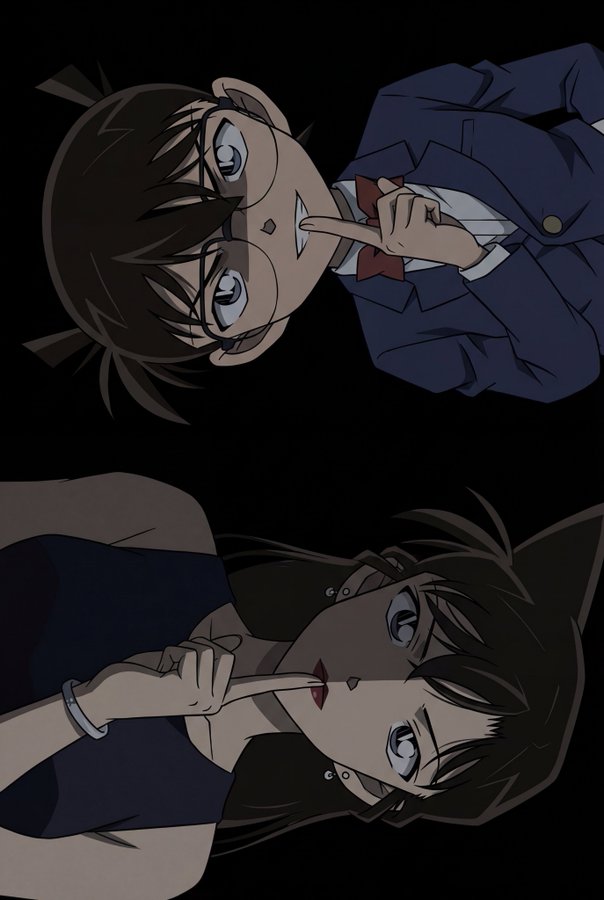 Kudo Shinichi and Mouri Ran Shushing Portrait